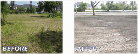 Land Clearing Tampa